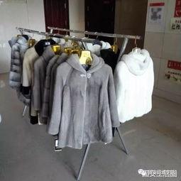 国产貂皮与进口貂皮视频